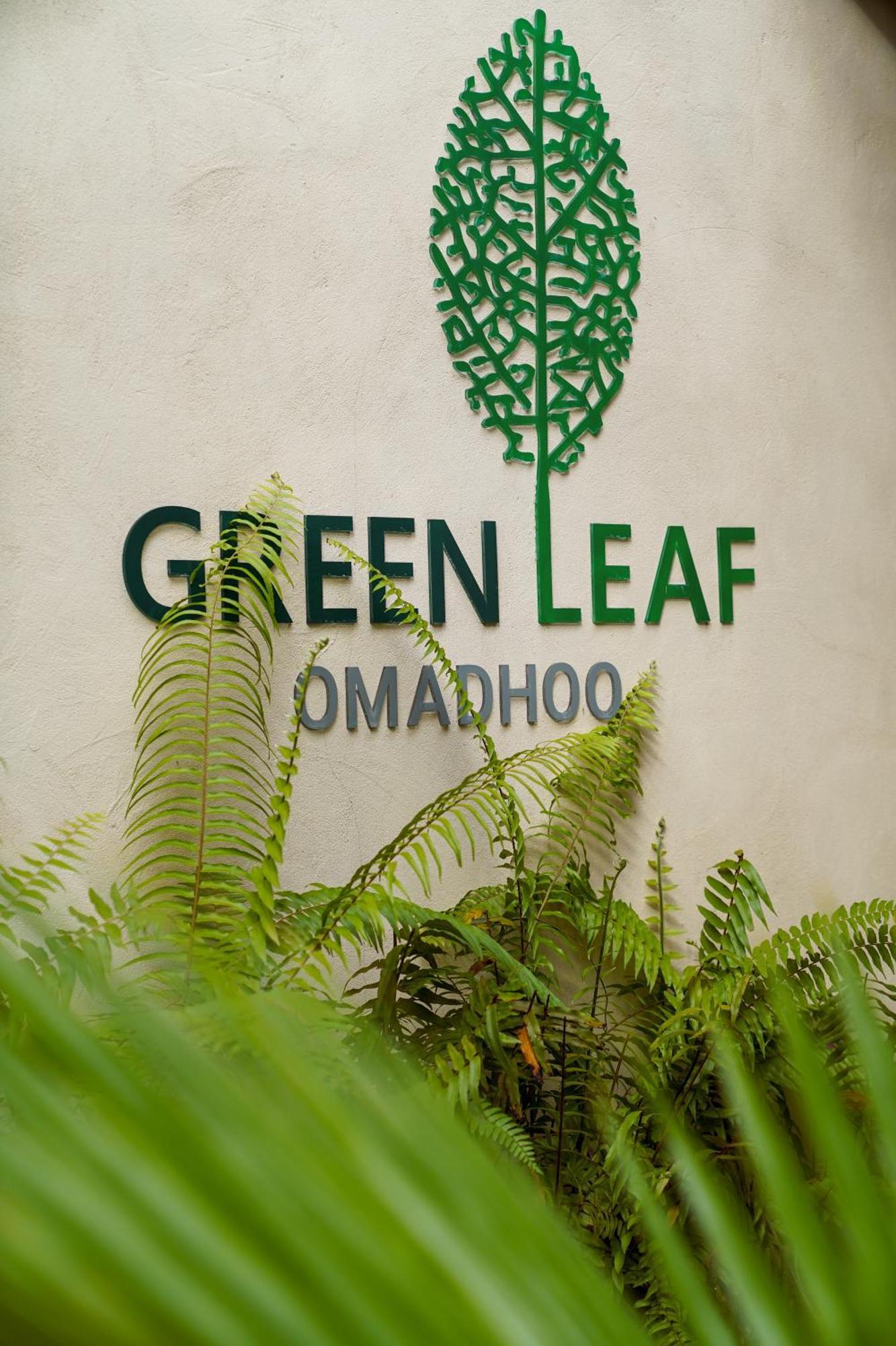 Green Leaf Guest House - Omadhoo Exterior photo